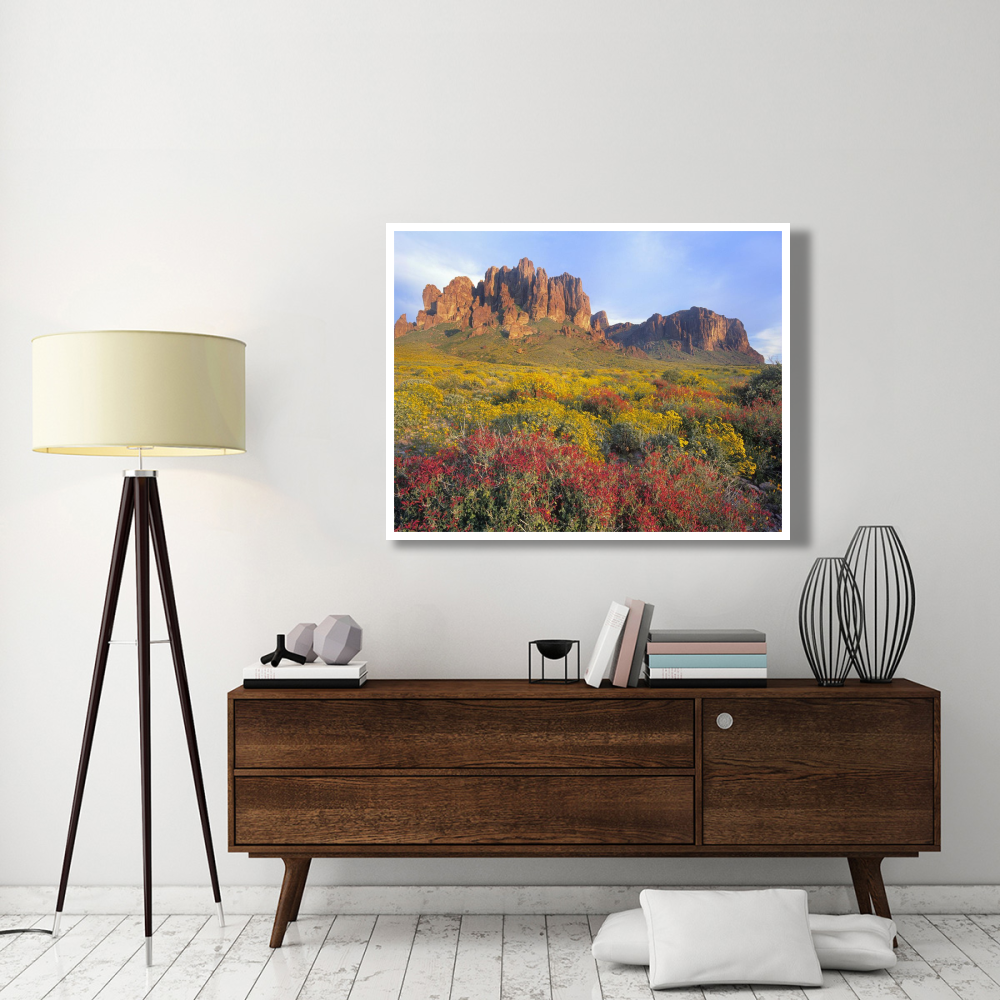 Chuparosa and Brittlebush Superstition Mountains, Arizona-Paper Art-50&quotx38"