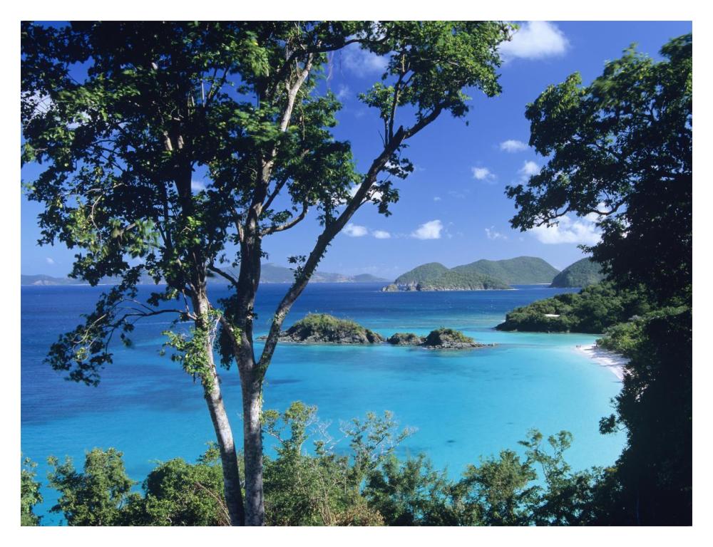 Caribbean seen through trees, Virgin Islands National Park-Paper Art-18"x14"