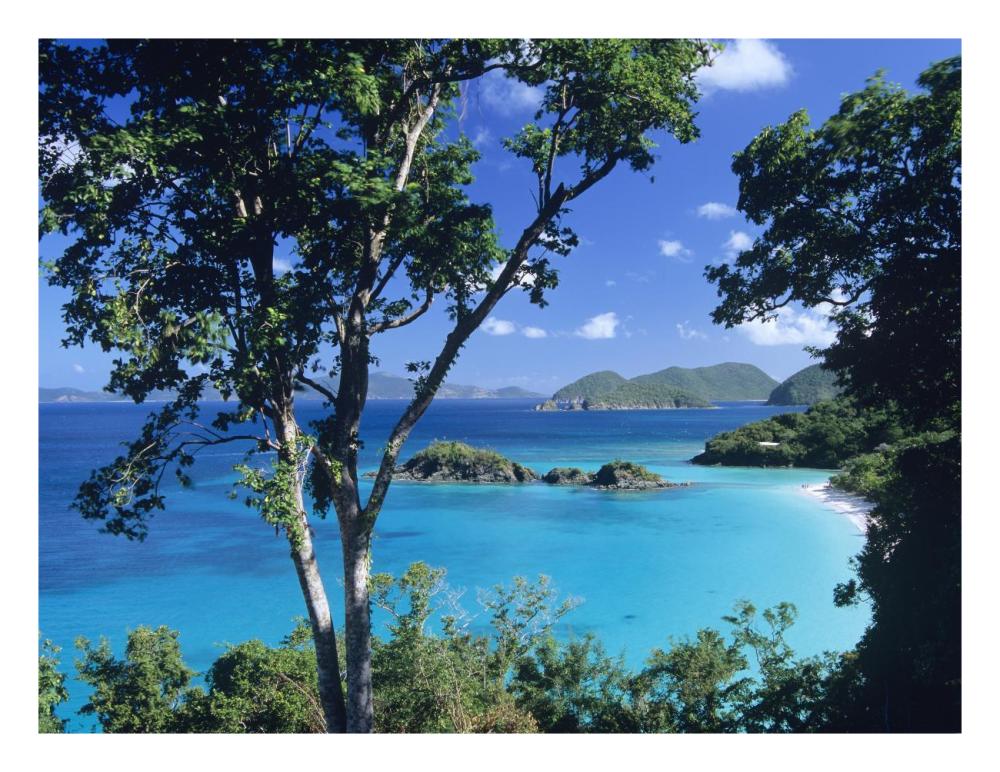 Caribbean seen through trees, Virgin Islands National Park-Paper Art-26"x20"