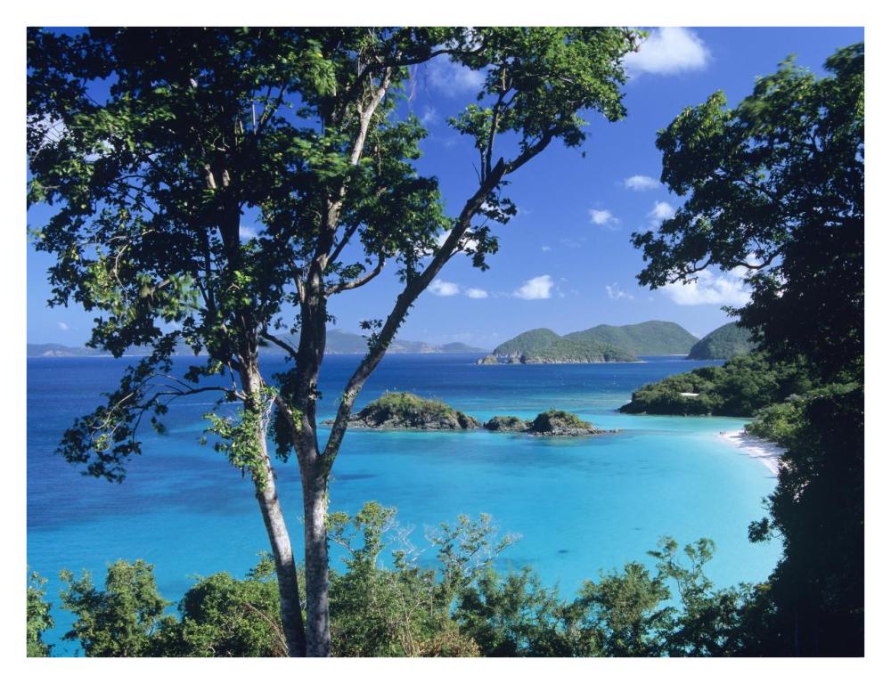 Caribbean seen through trees, Virgin Islands National Park-Paper Art-34"x26"