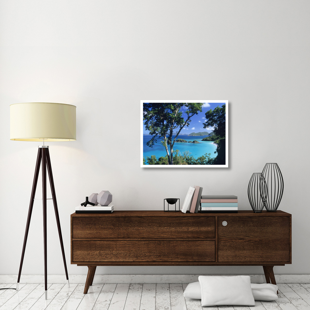Caribbean seen through trees, Virgin Islands National Park-Paper Art-34&quotx26"