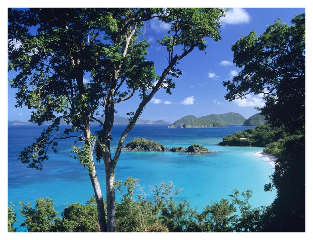 Caribbean seen through trees, Virgin Islands National Park-Paper Art-42"x32"
