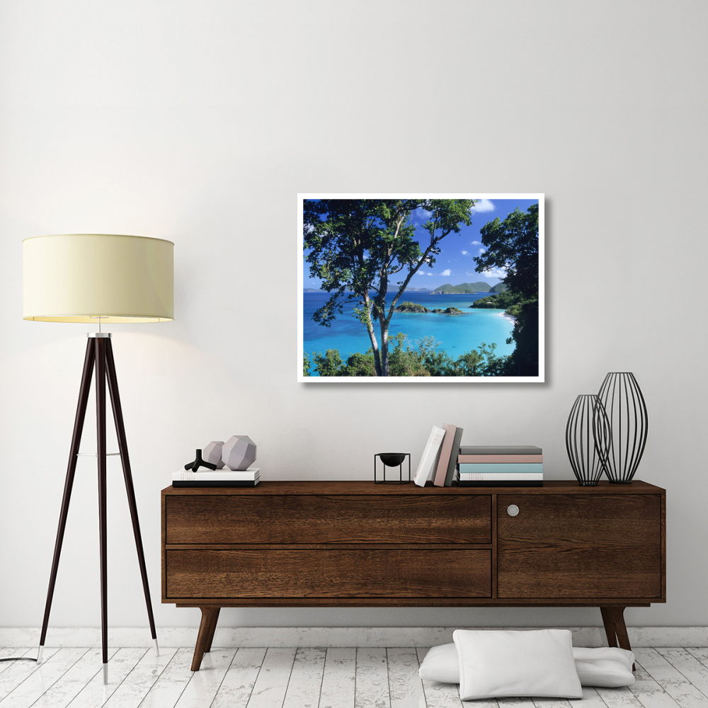 Caribbean seen through trees, Virgin Islands National Park-Paper Art-42&quotx32"