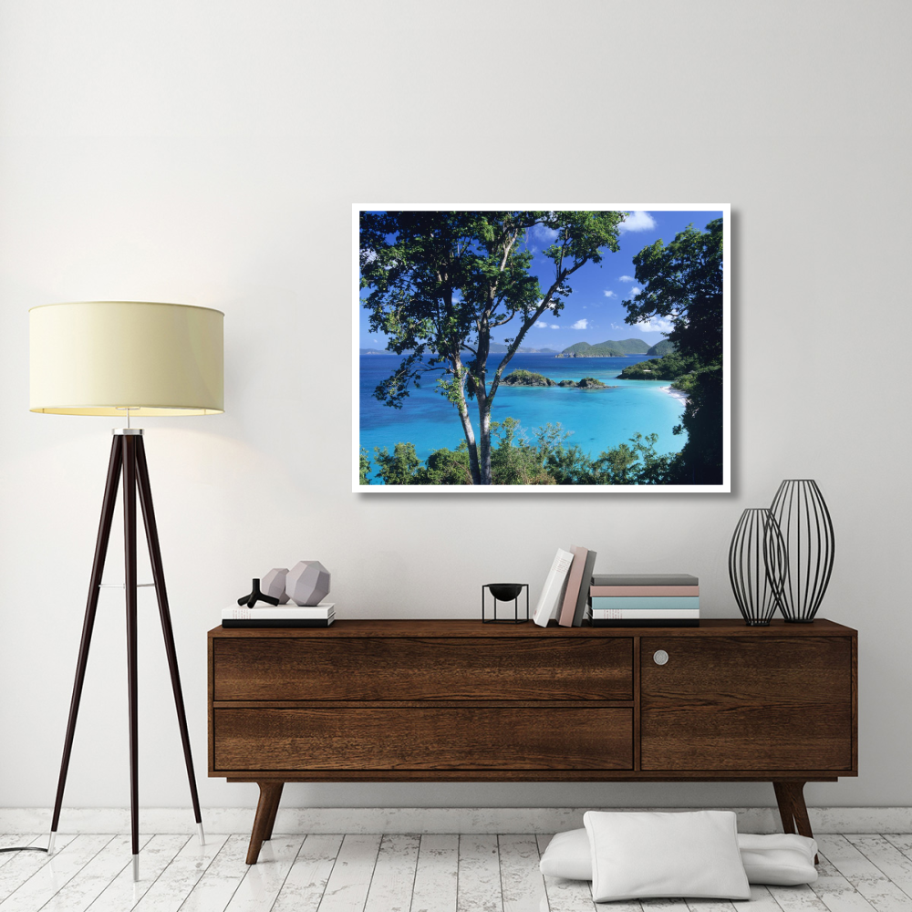Caribbean seen through trees, Virgin Islands National Park-Paper Art-50&quotx38"