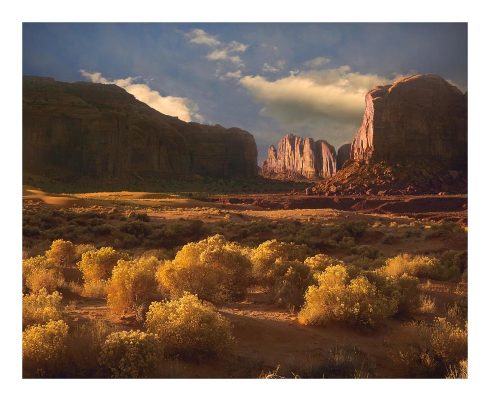 Camel Butte rising out of desert, Monument Valley, Arizona-Paper Art-22"x18"