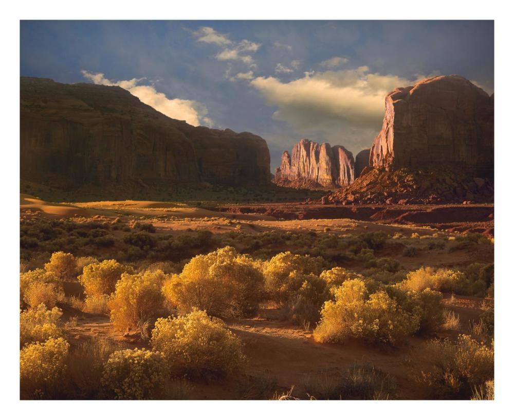 Camel Butte rising out of desert, Monument Valley, Arizona-Paper Art-26"x22"