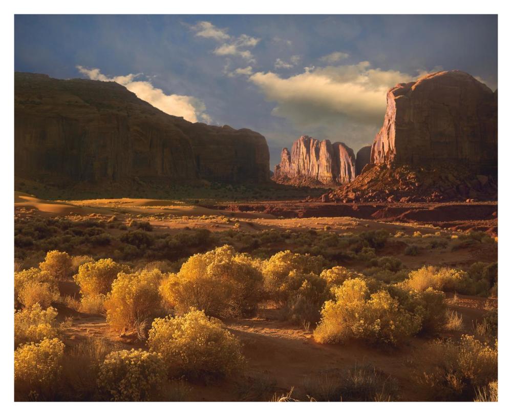 Camel Butte rising out of desert, Monument Valley, Arizona-Paper Art-37"x30"
