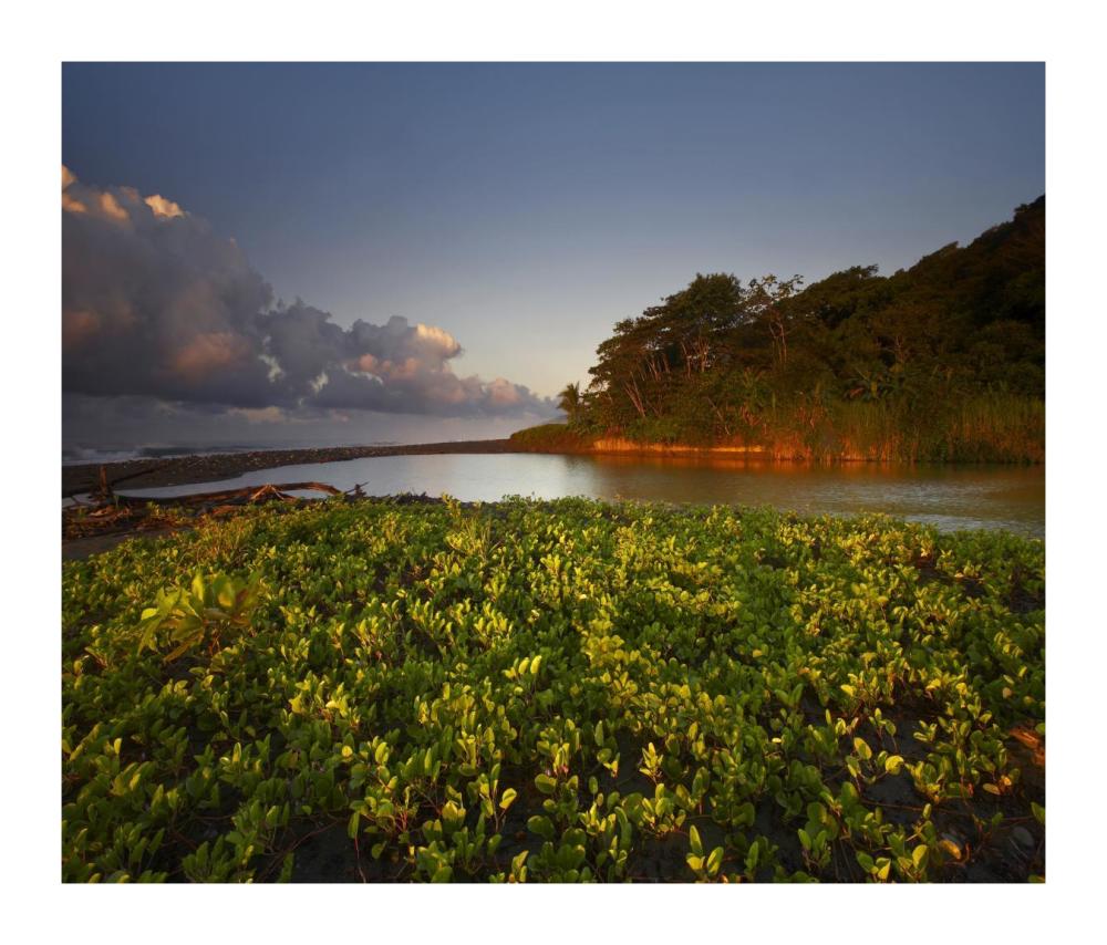 Lagoon near coastline, Corcovado National Park, Costa Rica-Paper Art-18"x15.44"