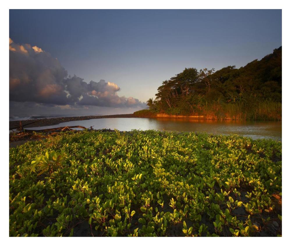 Lagoon near coastline, Corcovado National Park, Costa Rica-Paper Art-32"x27.2"
