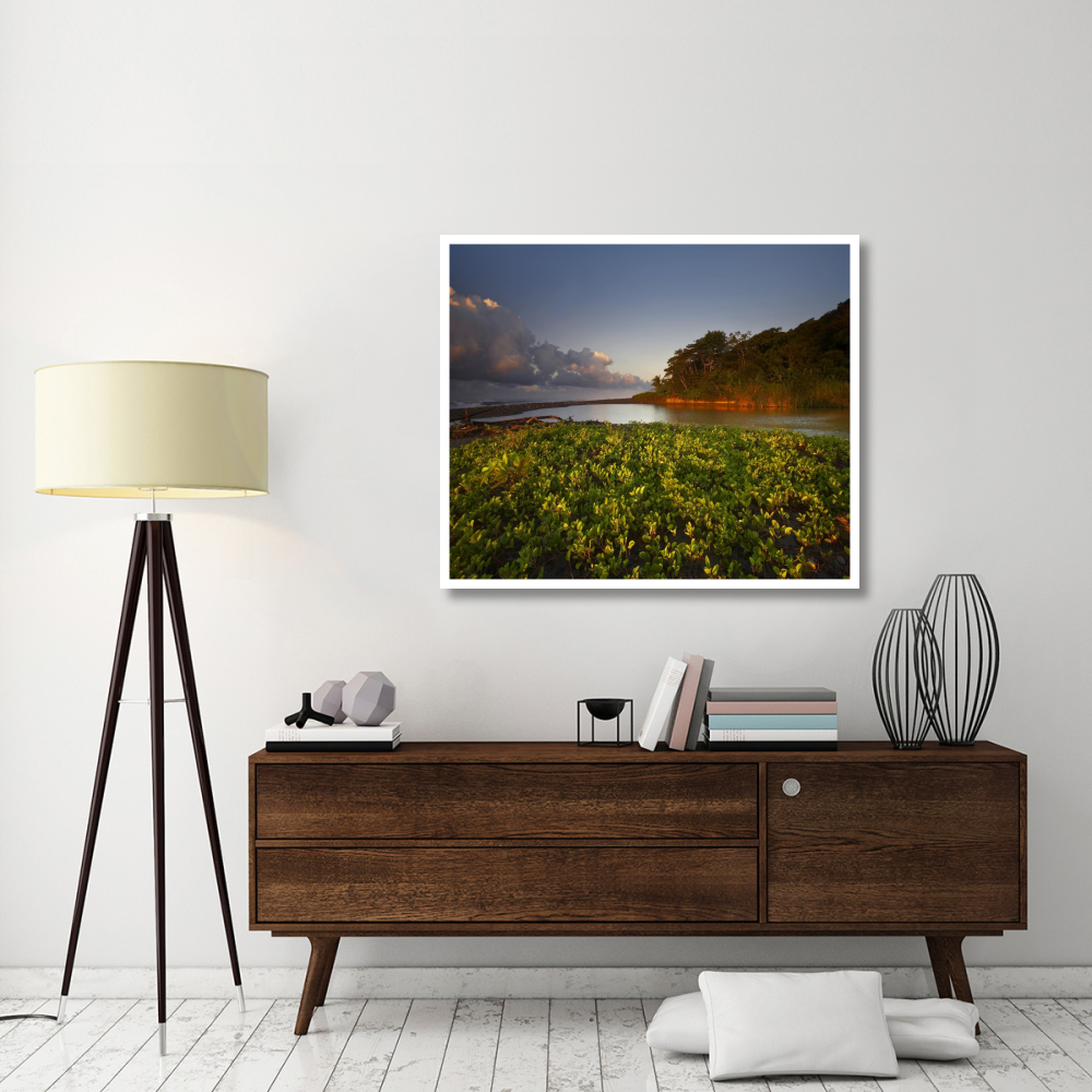 Lagoon near coastline, Corcovado National Park, Costa Rica-Paper Art-46&quotx38.96"