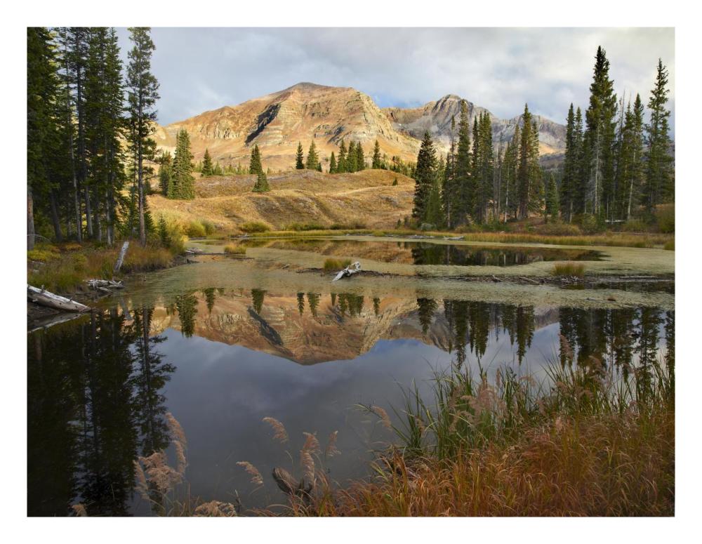 Ruby Range reflected in pond, Raggeds Wilderness, Colorado-Paper Art-26"x20"