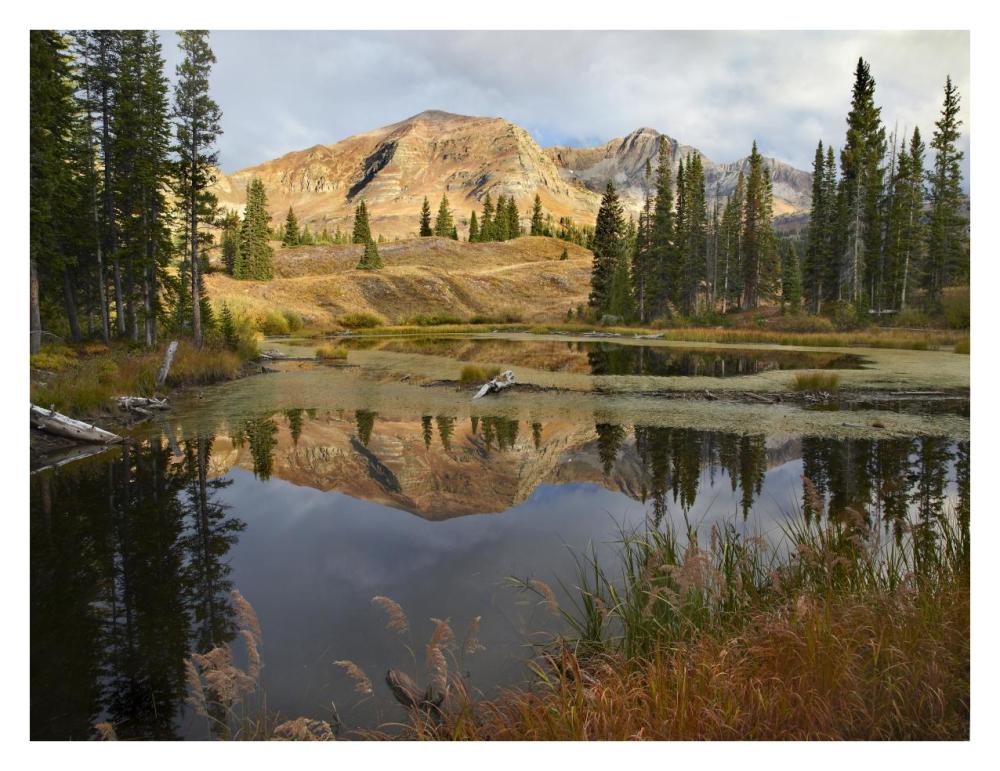 Ruby Range reflected in pond, Raggeds Wilderness, Colorado-Paper Art-34"x26"