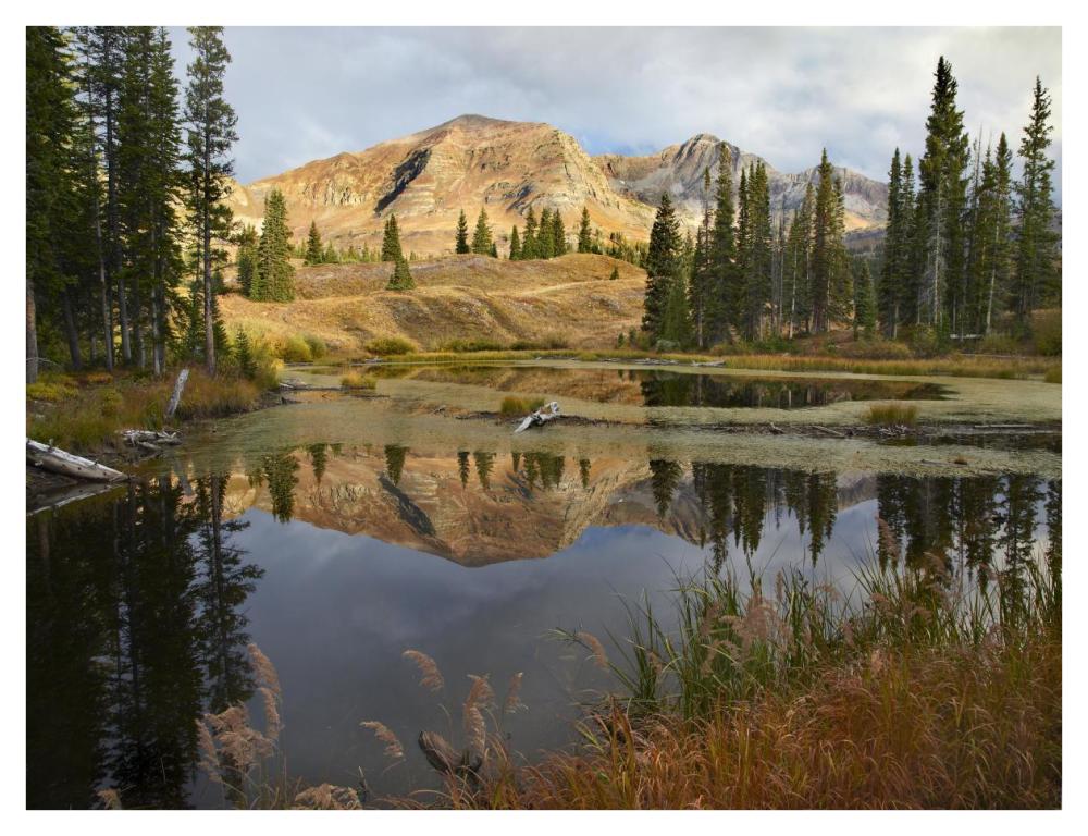 Ruby Range reflected in pond, Raggeds Wilderness, Colorado-Paper Art-42"x32"