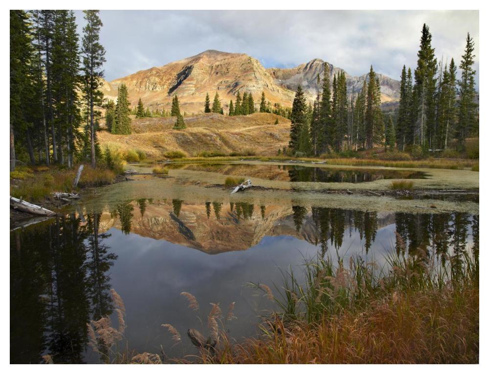Ruby Range reflected in pond, Raggeds Wilderness, Colorado-Paper Art-50"x38"