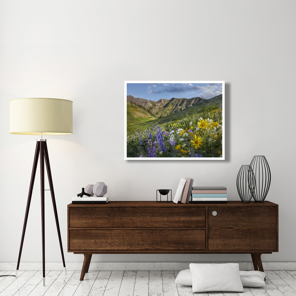 Larkspur and sunflowers, Albion Basin, Wasatch Range, Utah-Paper Art-42&quotx32"
