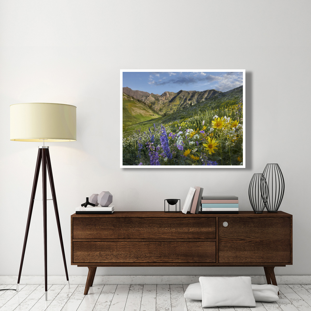 Larkspur and sunflowers, Albion Basin, Wasatch Range, Utah-Paper Art-50&quotx38"