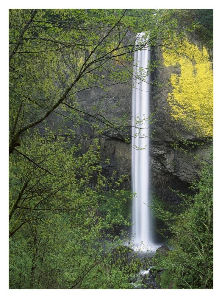 Latourell Falls, Columbia River Gorge near Portland, Oregon-Paper Art-14"x18"