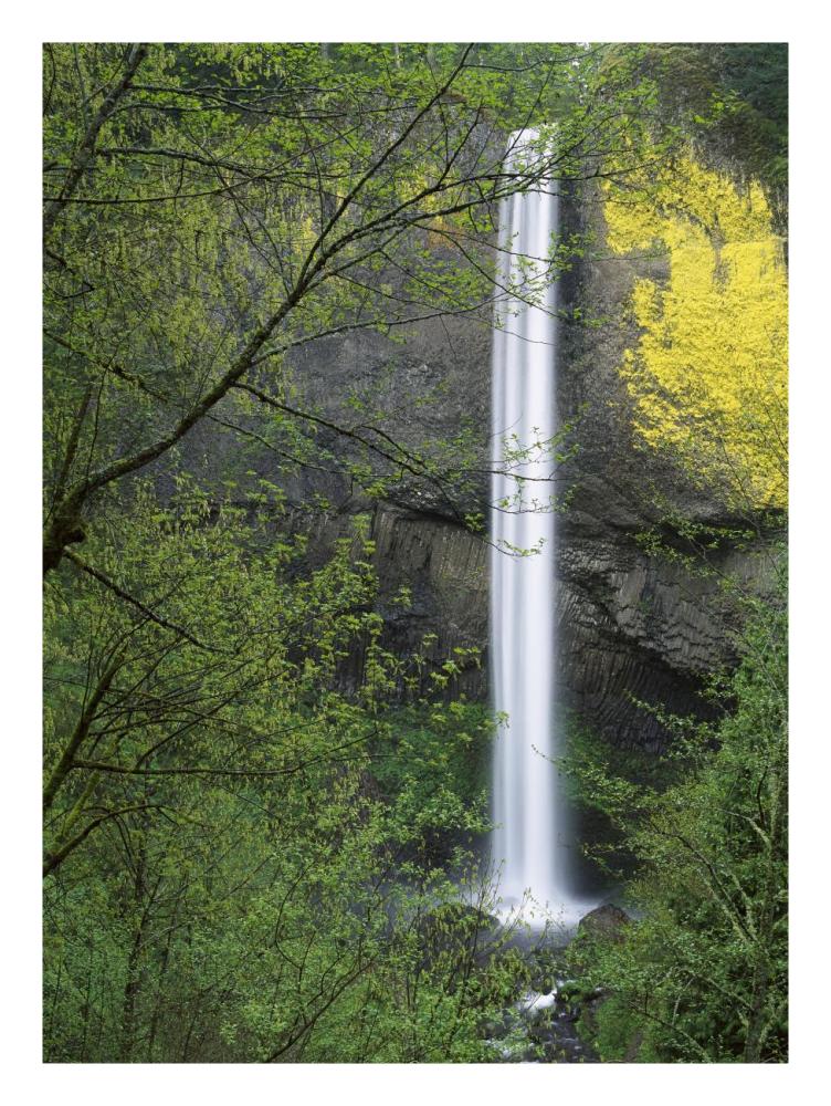 Latourell Falls, Columbia River Gorge near Portland, Oregon-Paper Art-20"x26"