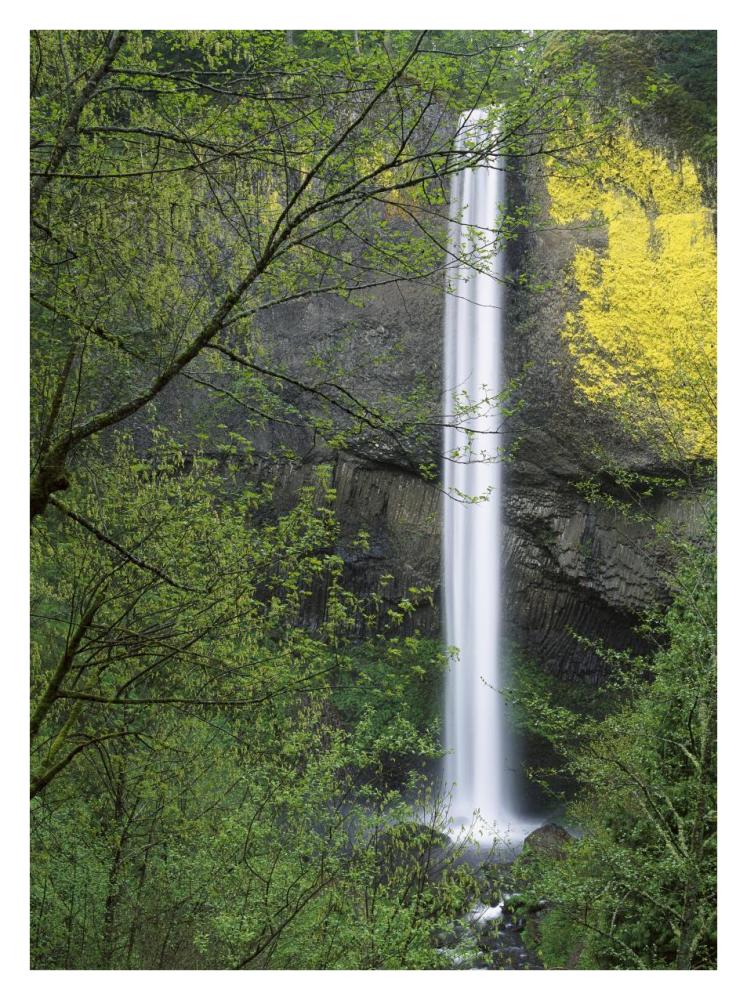 Latourell Falls, Columbia River Gorge near Portland, Oregon-Paper Art-26"x34"