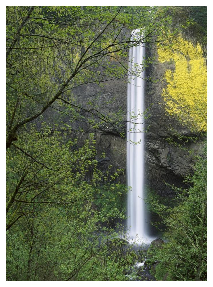 Latourell Falls, Columbia River Gorge near Portland, Oregon-Paper Art-38"x50"
