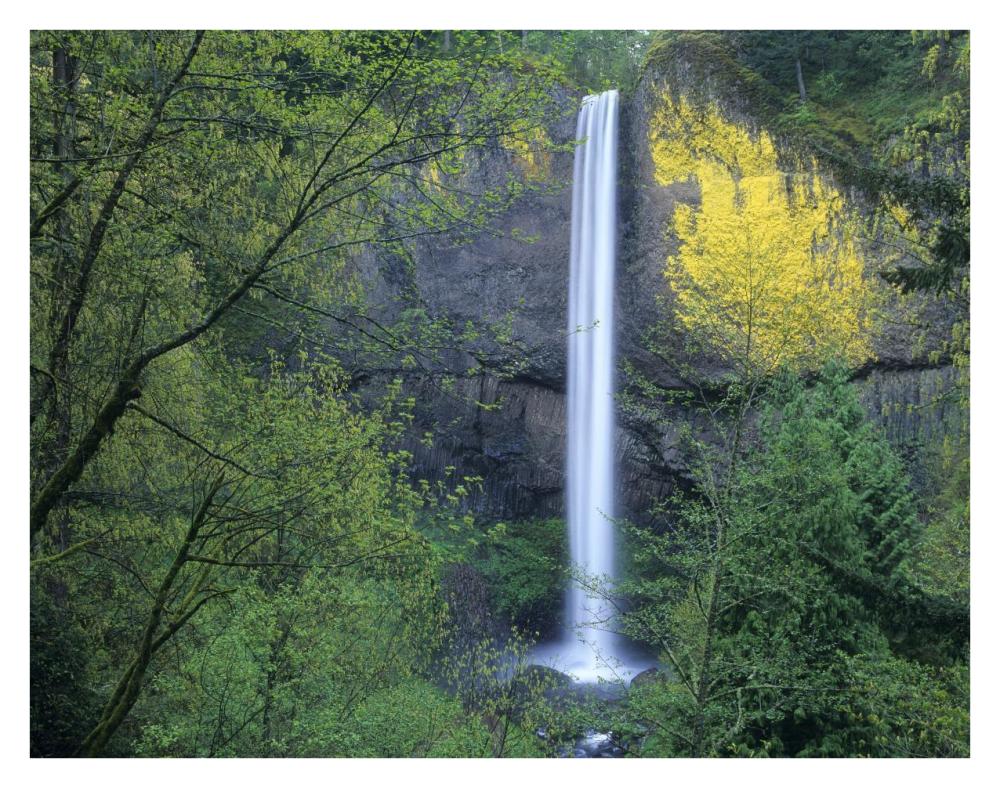 Latourell Falls, Columbia River Gorge near Portland, Oregon-Paper Art-34"x26"
