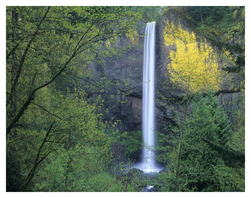 Latourell Falls, Columbia River Gorge near Portland, Oregon-Paper Art-42"x32"