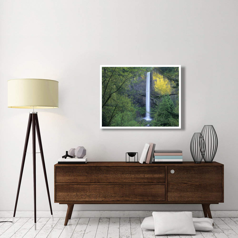 Latourell Falls, Columbia River Gorge near Portland, Oregon-Paper Art-42&quotx32"