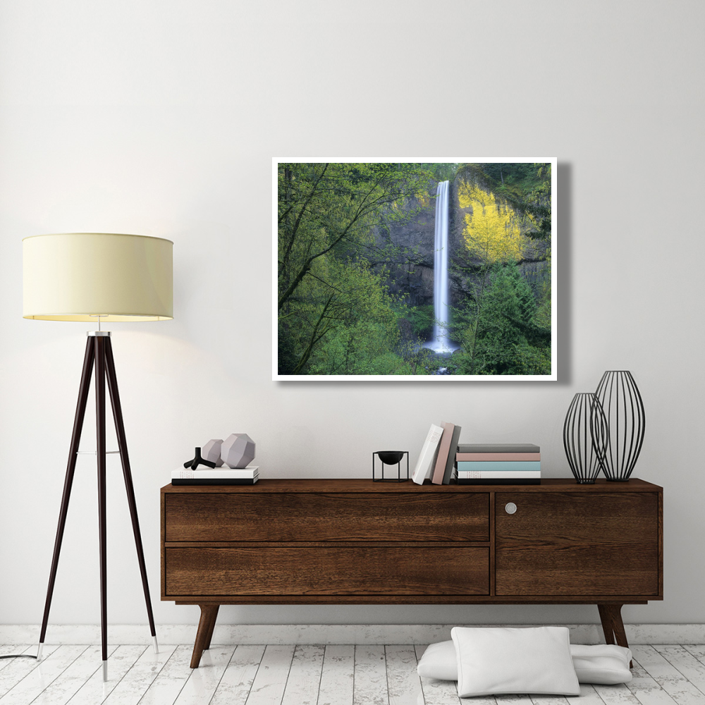 Latourell Falls, Columbia River Gorge near Portland, Oregon-Paper Art-50&quotx38"