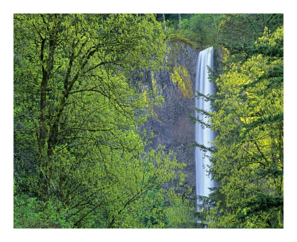 Latourell Falls, Columbia River Gorge near Portland, Oregon-Paper Art-22"x18"