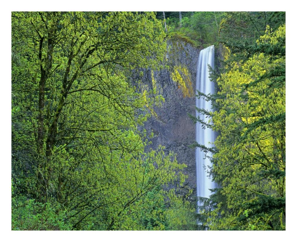 Latourell Falls, Columbia River Gorge near Portland, Oregon-Paper Art-26"x22"