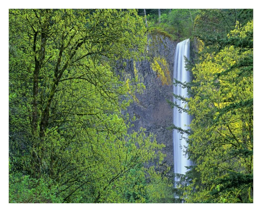 Latourell Falls, Columbia River Gorge near Portland, Oregon-Paper Art-30"x24"