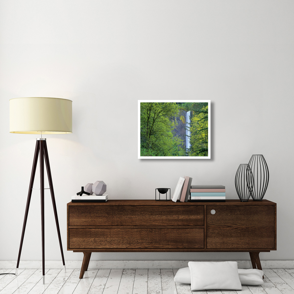 Latourell Falls, Columbia River Gorge near Portland, Oregon-Paper Art-30&quotx24"