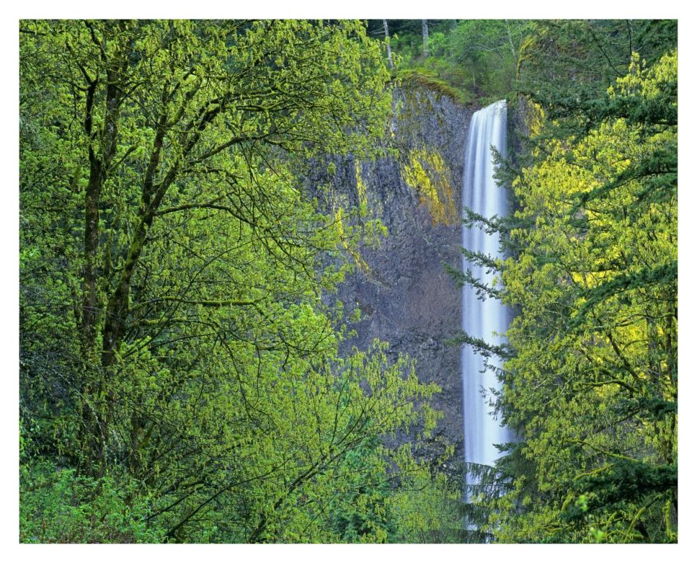 Latourell Falls, Columbia River Gorge near Portland, Oregon-Paper Art-37"x30"