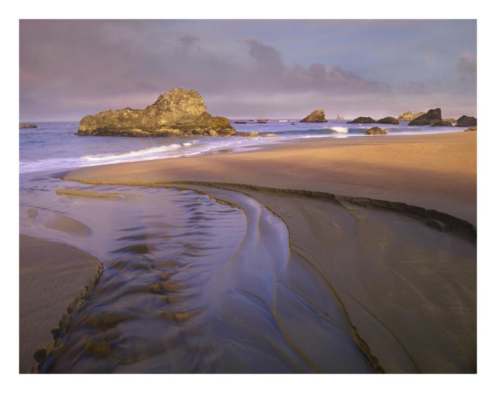 Creek flowing into ocean at Harris Beach State Park, Oregon-Paper Art-26"x20"