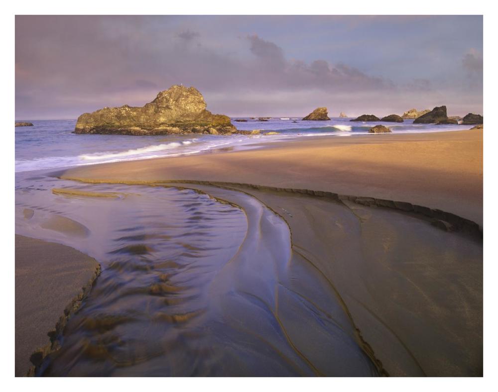 Creek flowing into ocean at Harris Beach State Park, Oregon-Paper Art-34"x26"