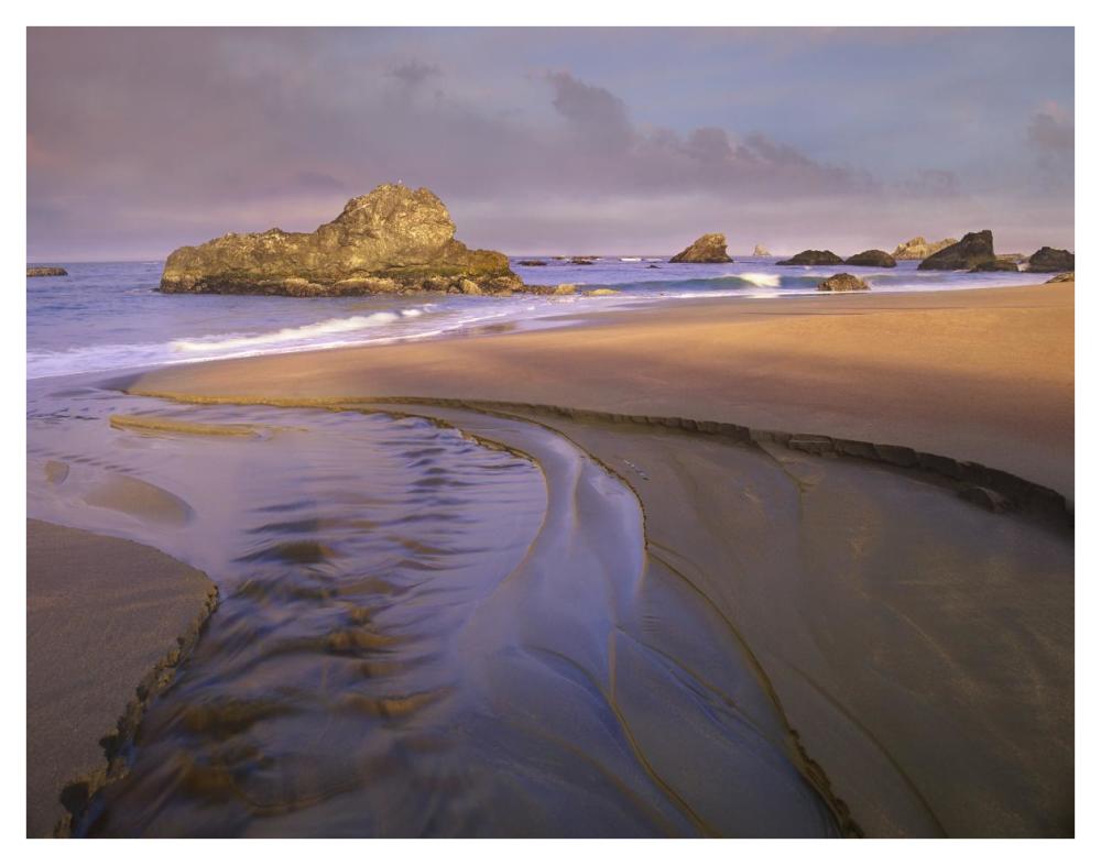 Creek flowing into ocean at Harris Beach State Park, Oregon-Paper Art-42"x32"