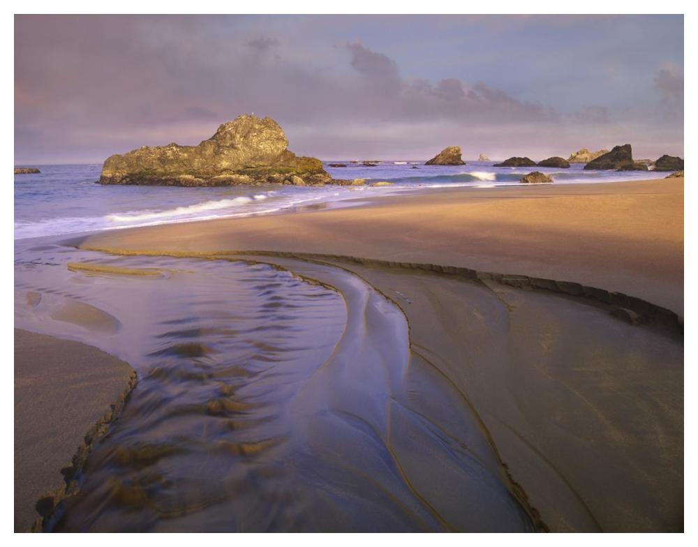 Creek flowing into ocean at Harris Beach State Park, Oregon-Paper Art-50"x38"