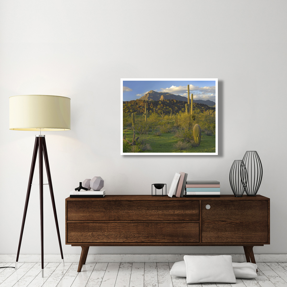 Saguaro Picacho Mountains, Picacho Peak State Park, Arizona-Paper Art-42&quotx32"