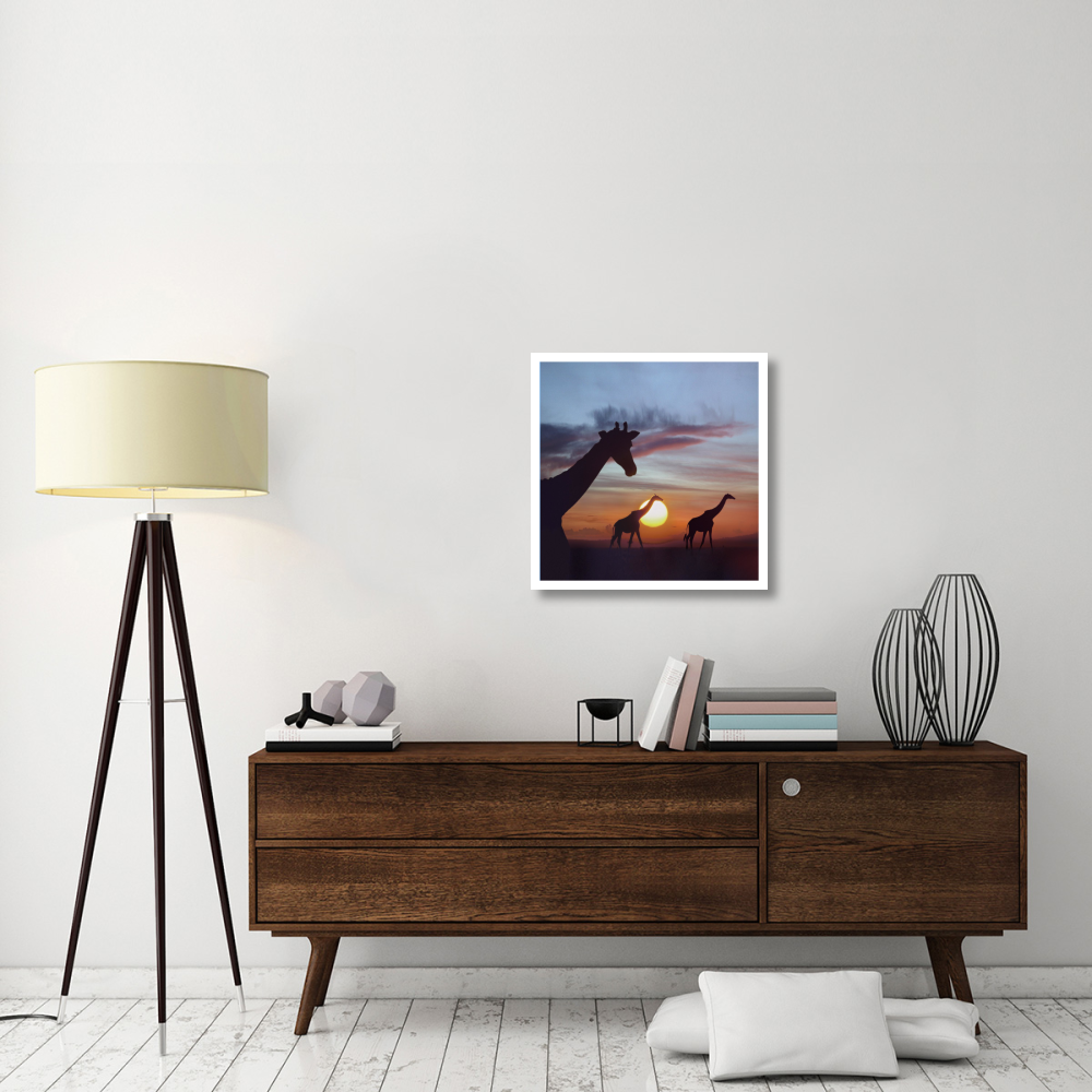 Giraffe trio at sunrise, Masai Mara, Kenya, composite image-Paper Art-26&quotx26"
