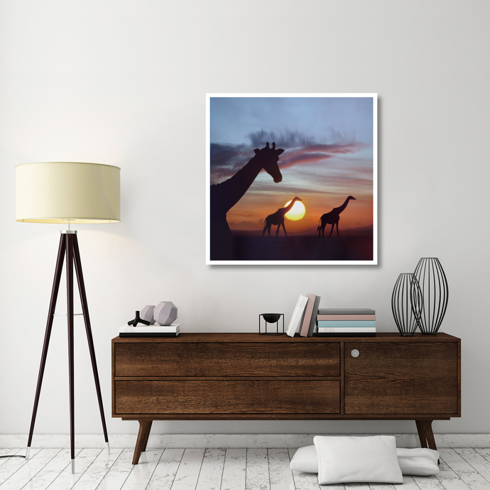 Giraffe trio at sunrise, Masai Mara, Kenya, composite image-Paper Art-42&quotx42"