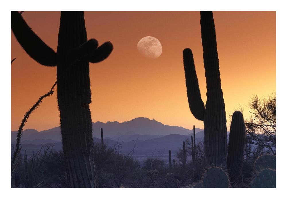 Kitt Peak under moon from Saguaro National Monument, Arizona-Paper Art-26"x18"