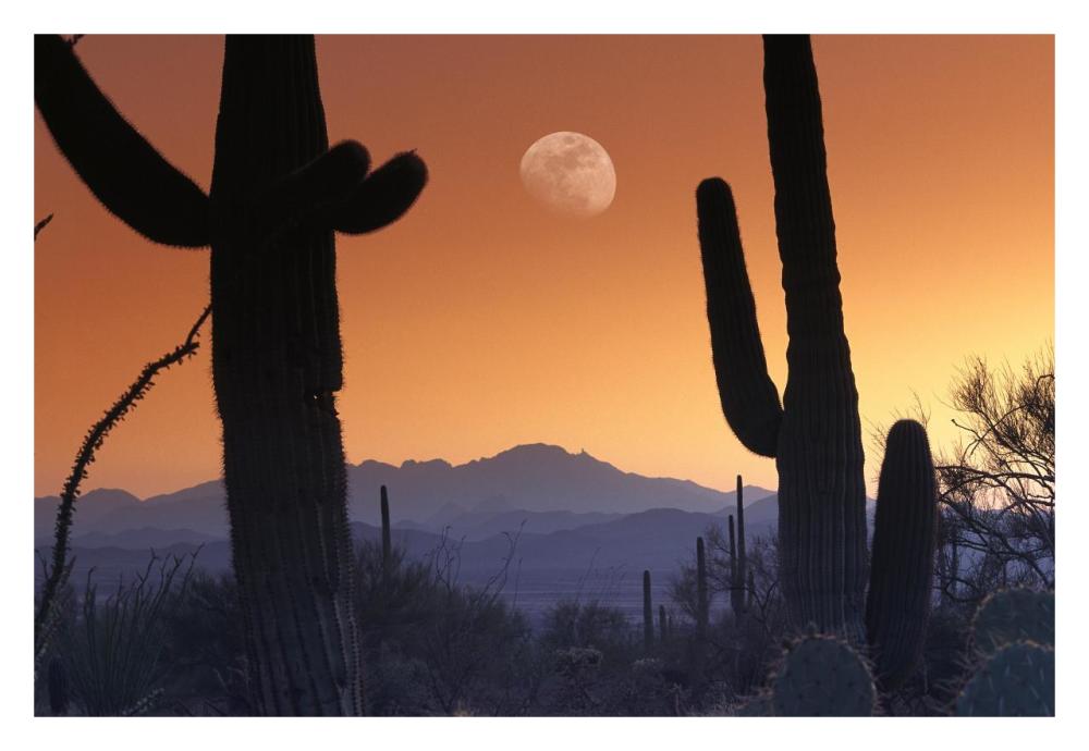 Kitt Peak under moon from Saguaro National Monument, Arizona-Paper Art-32"x22"