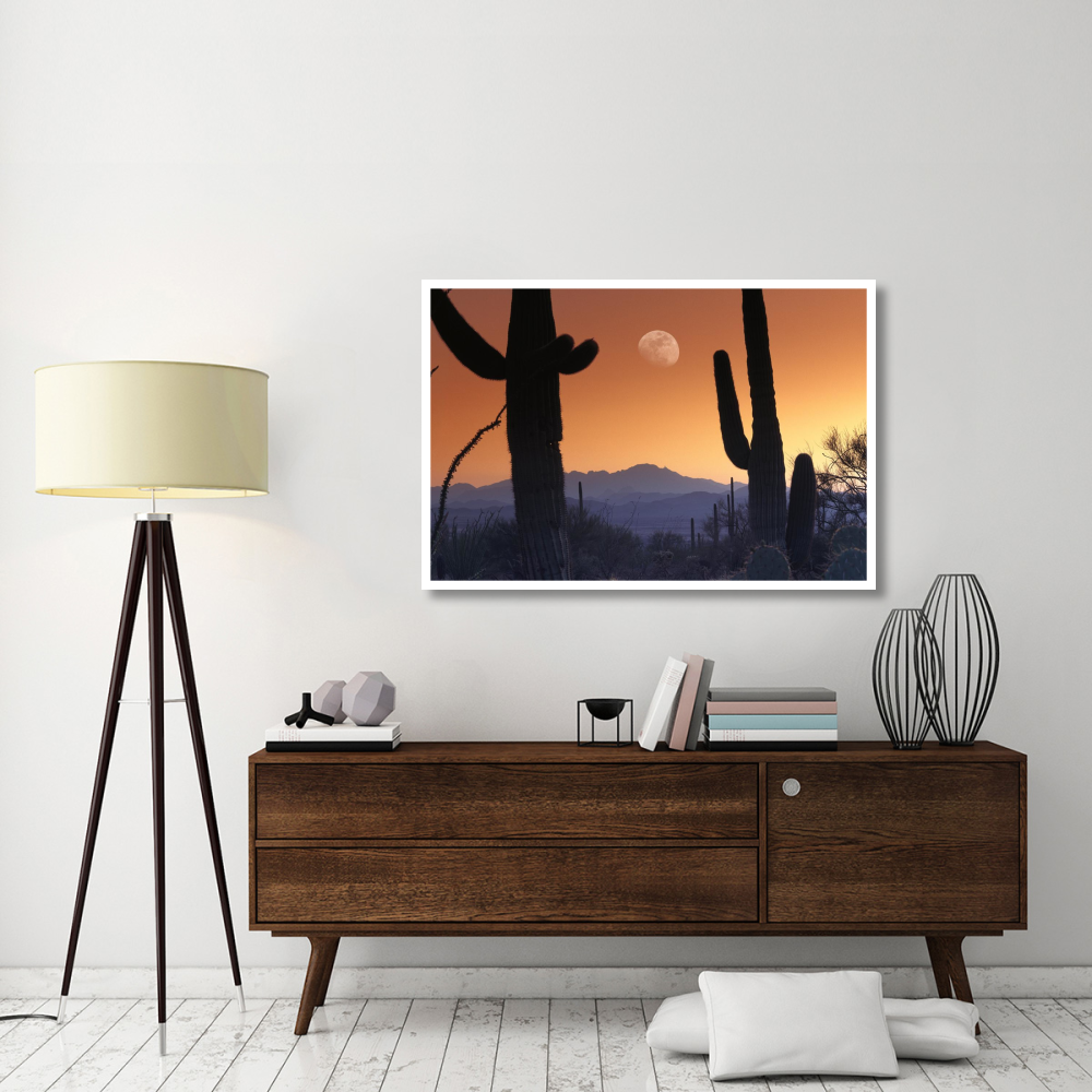 Kitt Peak under moon from Saguaro National Monument, Arizona-Paper Art-50&quotx34"