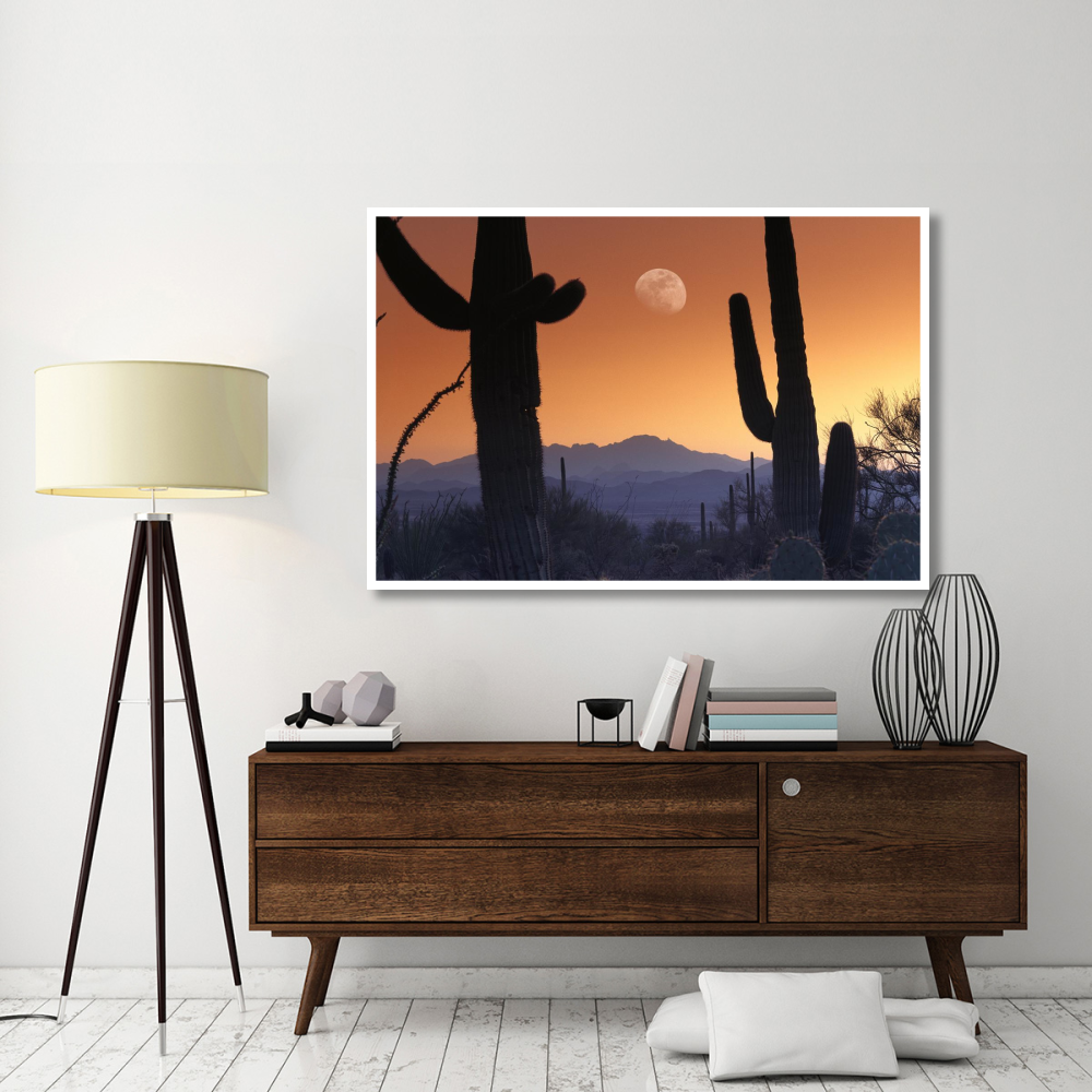 Kitt Peak under moon from Saguaro National Monument, Arizona-Paper Art-62&quotx42"