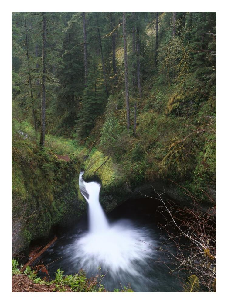 Punchbowl Falls at Eagle Creek, Columbia River Gorge, Oregon-Paper Art-20"x26"