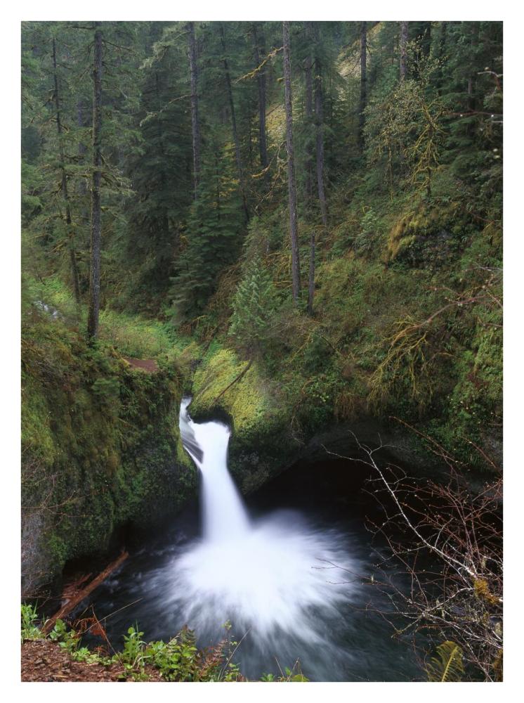 Punchbowl Falls at Eagle Creek, Columbia River Gorge, Oregon-Paper Art-26"x34"