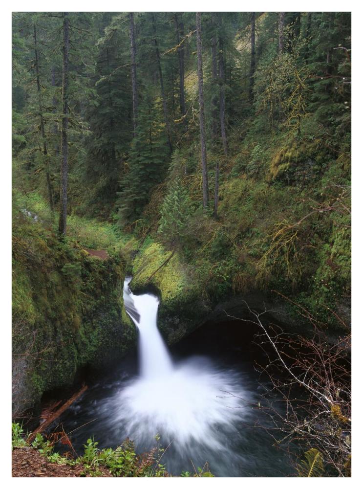 Punchbowl Falls at Eagle Creek, Columbia River Gorge, Oregon-Paper Art-32"x42"