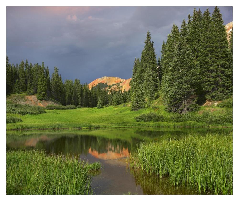 Red Mountain reflected in pond, San Juan Mountains, Colorado-Paper Art-38"x31.88"