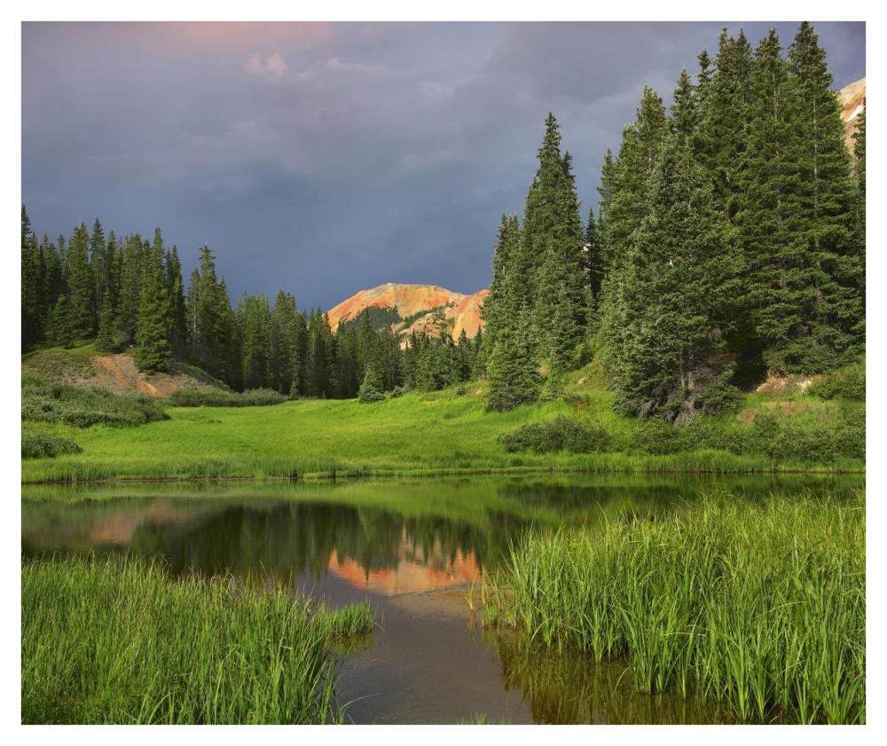 Red Mountain reflected in pond, San Juan Mountains, Colorado-Paper Art-42"x35.2"