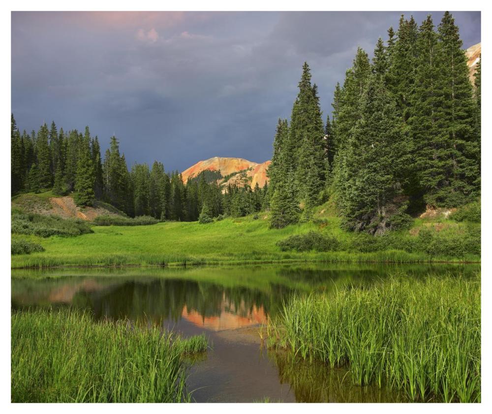 Red Mountain reflected in pond, San Juan Mountains, Colorado-Paper Art-46"x38.52"